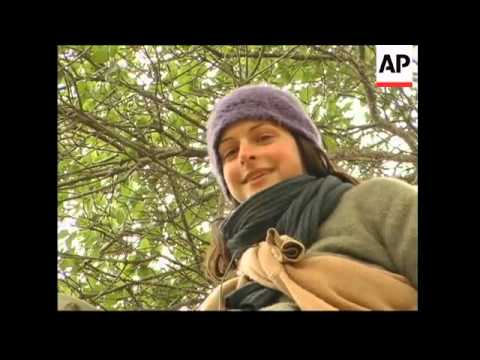Tree-sitters mark first anniversary for tree-sitting protest