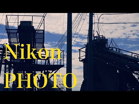 Nikon D40 PHOTO　CCDセンサー　　NX　Studio　2022  Vol.7