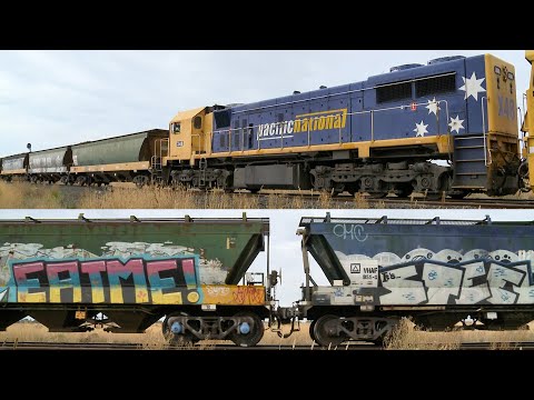 7731V Pacific National Grain Train With 8128 & X48 (1/3/2022) - PoathTV Australian Railways