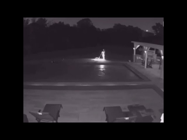 Vídeo relacionado con Aztec Death Whistle más fuerte | Halloween Death Aztec gritando silbato más fuerte, Prank Props gritando silbato de guerra, grita silbido para el auténtico silbato de la muerte azteca