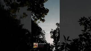 Download lagu Story WhatsApp  •Sang Penggoda _ tata janeeta• mp3