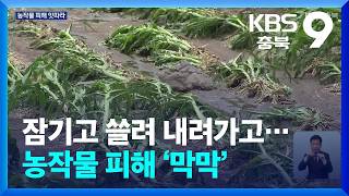 잠기고 쓸려 내려가고…농작물 피해 ‘막막’ / KBS  2026.07.10.