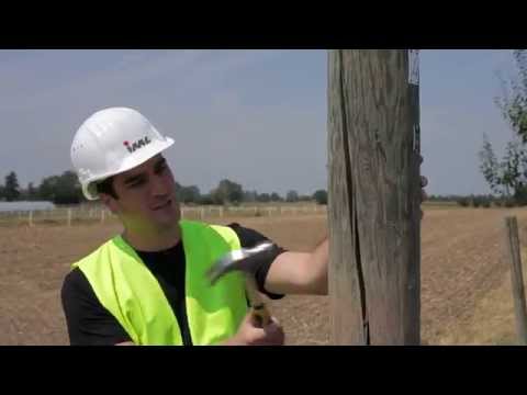 YouTube Thumbnail tYdzHwgcwv8