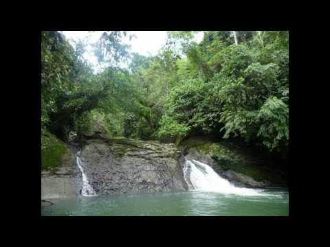 Luke Terry & Kopi Luwak feat Tiff Lacey-Fall Into The Moon(Mystery Island Remix)