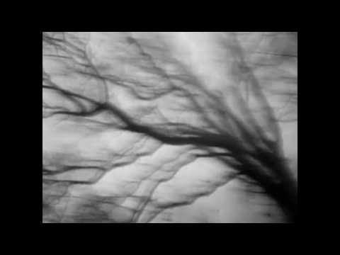 Woytah - Strach (prod.Darson)