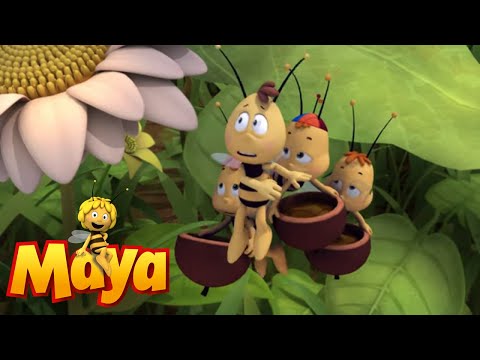 Solar Queen - Maya the Bee - Episode 43