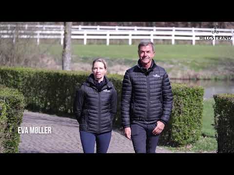 Helgstrand Germany - Presentation and stable tour