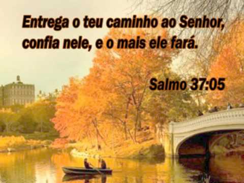 Renova-me video