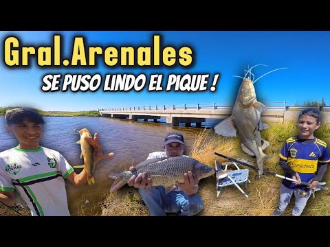 Pesca Salvaje en Gral. Arenales | Bagres, Moncholos y Carpas sin Parar 🎣