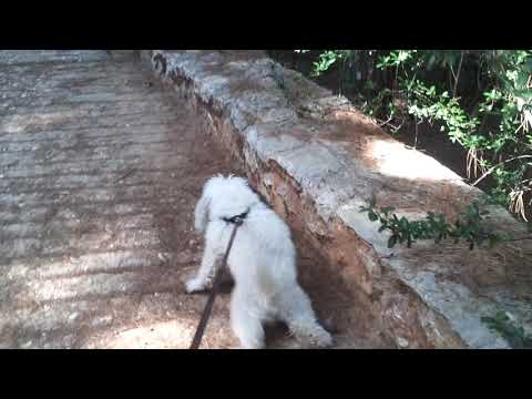 Athens, Pagrati, August 13, 2019