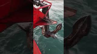 Download lagu Pelaut #quotes #seafarer #pelaut #pelautindonesia #kapal mp3 Download lagu Pelaut #quotes #seafarer #pelaut #pelautindonesia #kapal mp3
