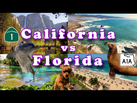 CALIFORNIA vs FLORIDA - Beaches, Pacific Coast Hwy, National Parks, Crime & Taxes