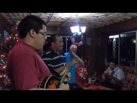 Paranda di Dande di Anja Nobo (Bandona Wals)DR