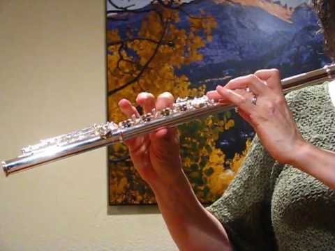 Di Zhao DZ700 Flute - Response