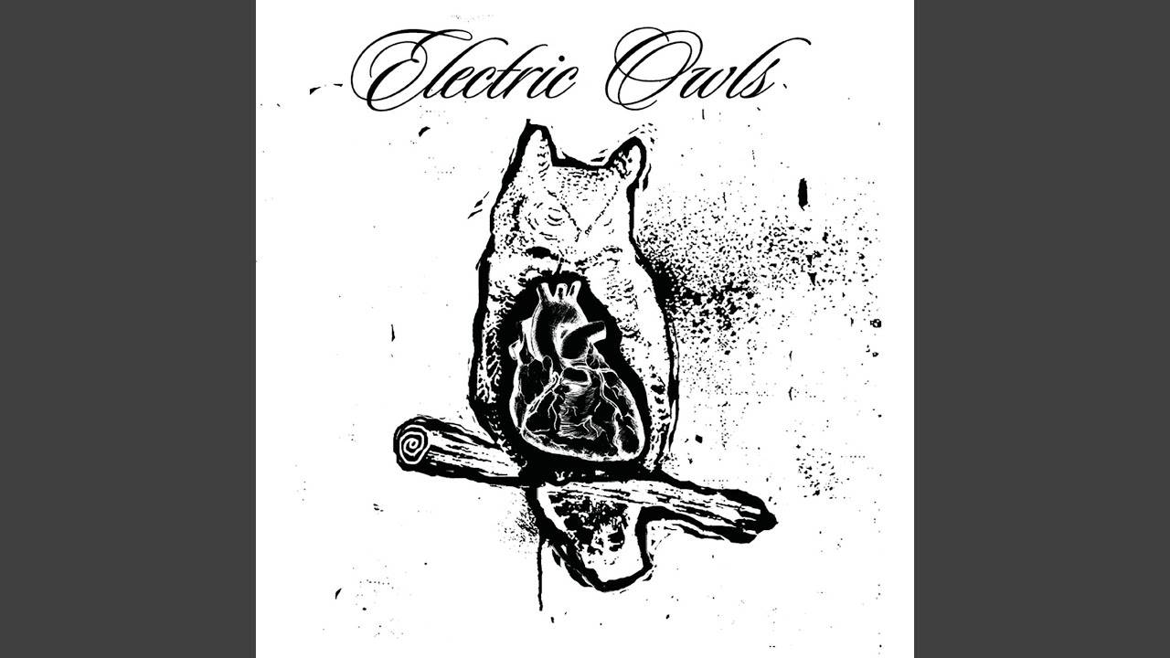 Electric Owls - Magic Show