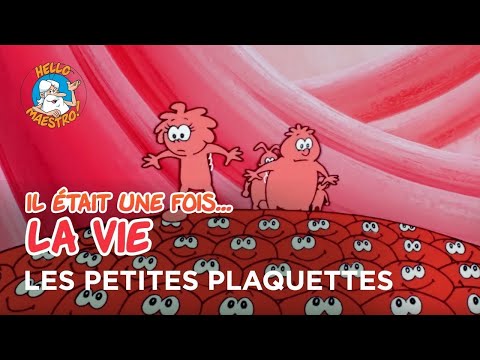 Il était une fois… la Vie 🌱- Les petites plaquettes 🧪