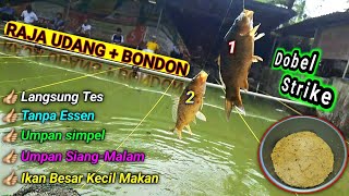 Download lagu WOW MANTAP‼️Umpan ikan mas yang disukai oleh ikan mas dan mudah dibuat mp3