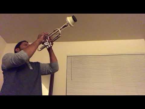 Intro to “everybody wants to be a cat” on trumpet
