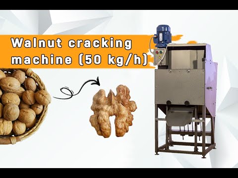 Walnut Cracking Machine for small producers K 50 (50 kg/h)