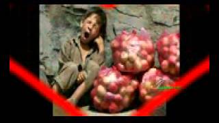 persian avaz   Majid Derakhshani