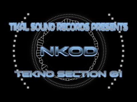 Tekno Section 01 / Hardkore Teknik