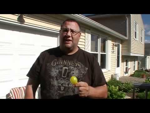 The perfect balloon bobber