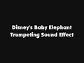 Disney S Baby Elephant Trumpeting SFX