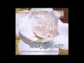 Peter Kater - Beautiful Heart - Choya1s Peter Kater - Beautiful Heart