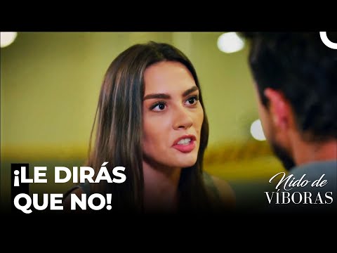 Nagme Piensa Que Sebnem Intenta Molestarle - Nido De Víboras Capitulo 24 (Dobladas en Español)