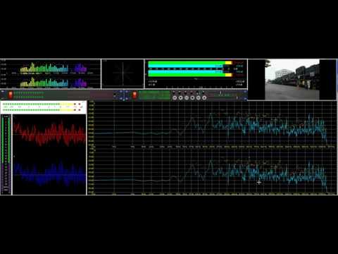 King Shiloh - African Simba live, Gent by Wim Van Wambeke