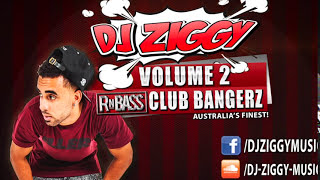 RNBASS CLUB BANGERZ Vol. 2 by Dj Ziggy