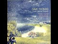 David Thomas & The Pedestrians - More Places Forever [Vinyl]