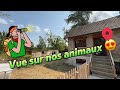 Maison avec boxes chevaux et carrière