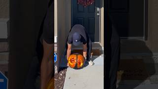 My neighbors are going to hate me. 😅