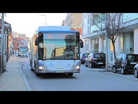 STCP 3236 (audio recording - collab)