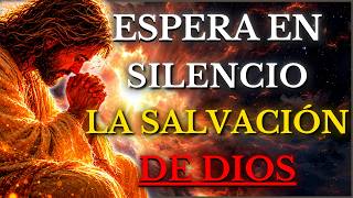 DIOS TE DICE HOY: DESCANSA EN MI SILENCIO, AQUÍ FLORECE TU ALMA