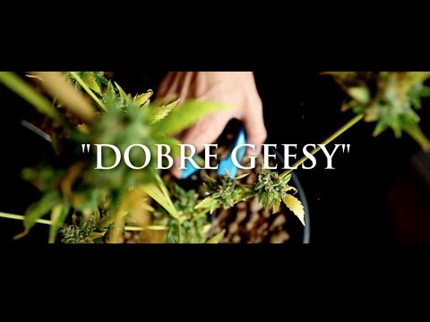 Ganja Mafia - Dobre Geesy prod. PSR