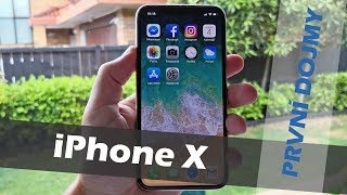 Apple iPhone X 256GB