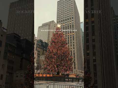Rockefeller Centre Christmas Tree lightning 🎄🇺🇸🗽| Cosmina Cartas #shorts #shortvideo
