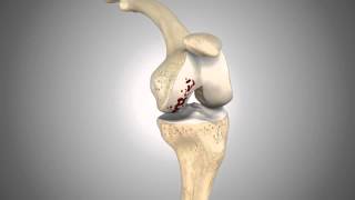 01_Zimmer_Uni_FINAL_02