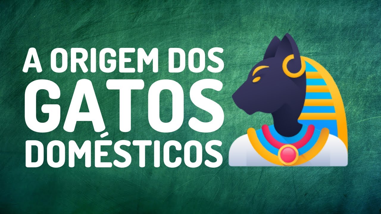 A BRIEF HISTORY OF CATS