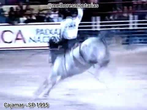 LUIS ANTONIO DO NASCIMENTO X SOMBRA - RODEIO DE CAJAMAR 1995