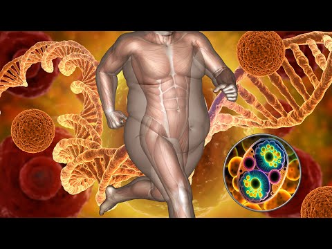 Extremely Powerful Fat Burn Frequency | 528 Hz | Weight Loss Alpha Waves, Burn Fat Cells