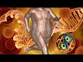 Extremely Powerful Fat Burn Frequency | 528 Hz | Weight Loss Alpha Waves, Burn Fat Cells