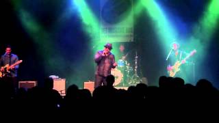 John Nemeth  - T e s t i f y my Love