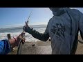 Lower South Coast Part 7 Kite Fishing