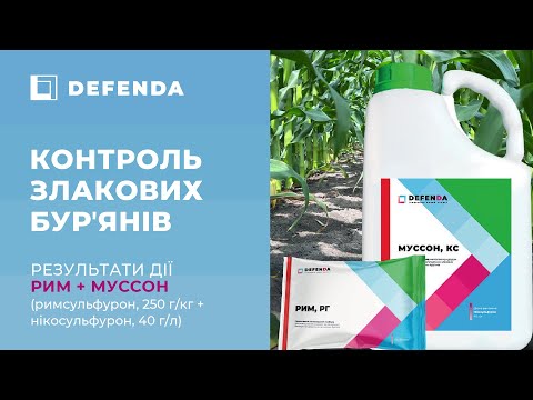 Гербицид Муссон (Никосульфурон 40 г/л) DEFENDA 10 л - фото 1 - id-p2099547530
