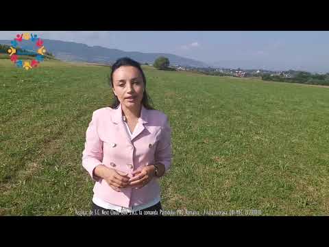 Alexandra Harja Samsonescu - Candidat la Consiliul Județean Suceava