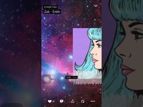 Zak- Enkh /STABB FAM/