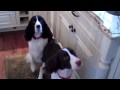Twisted Sisters, Hope and Rosey - The ORIGINAL ...